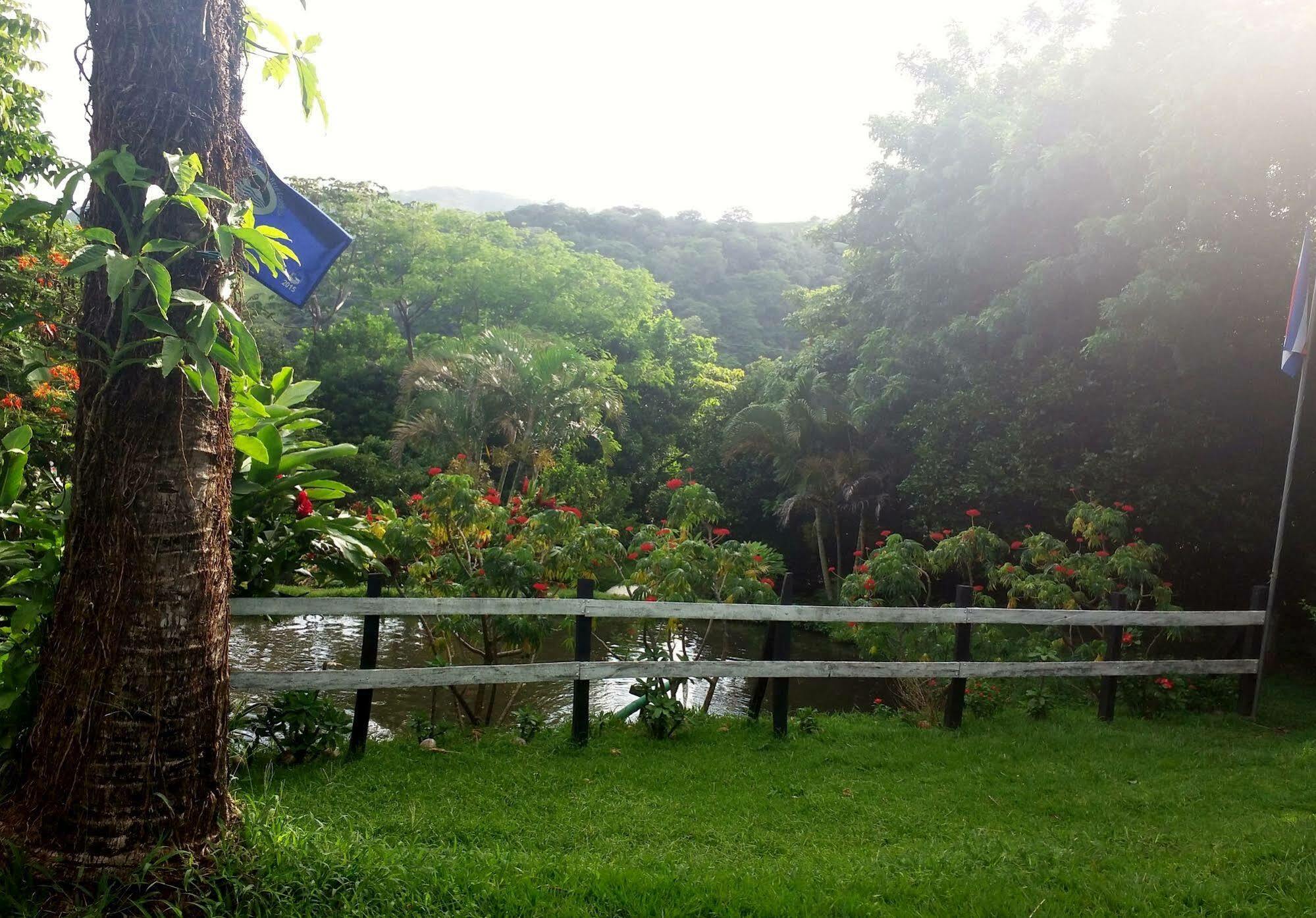 Rancho De Lelo Ecolodge Monteverde Exteriör bild