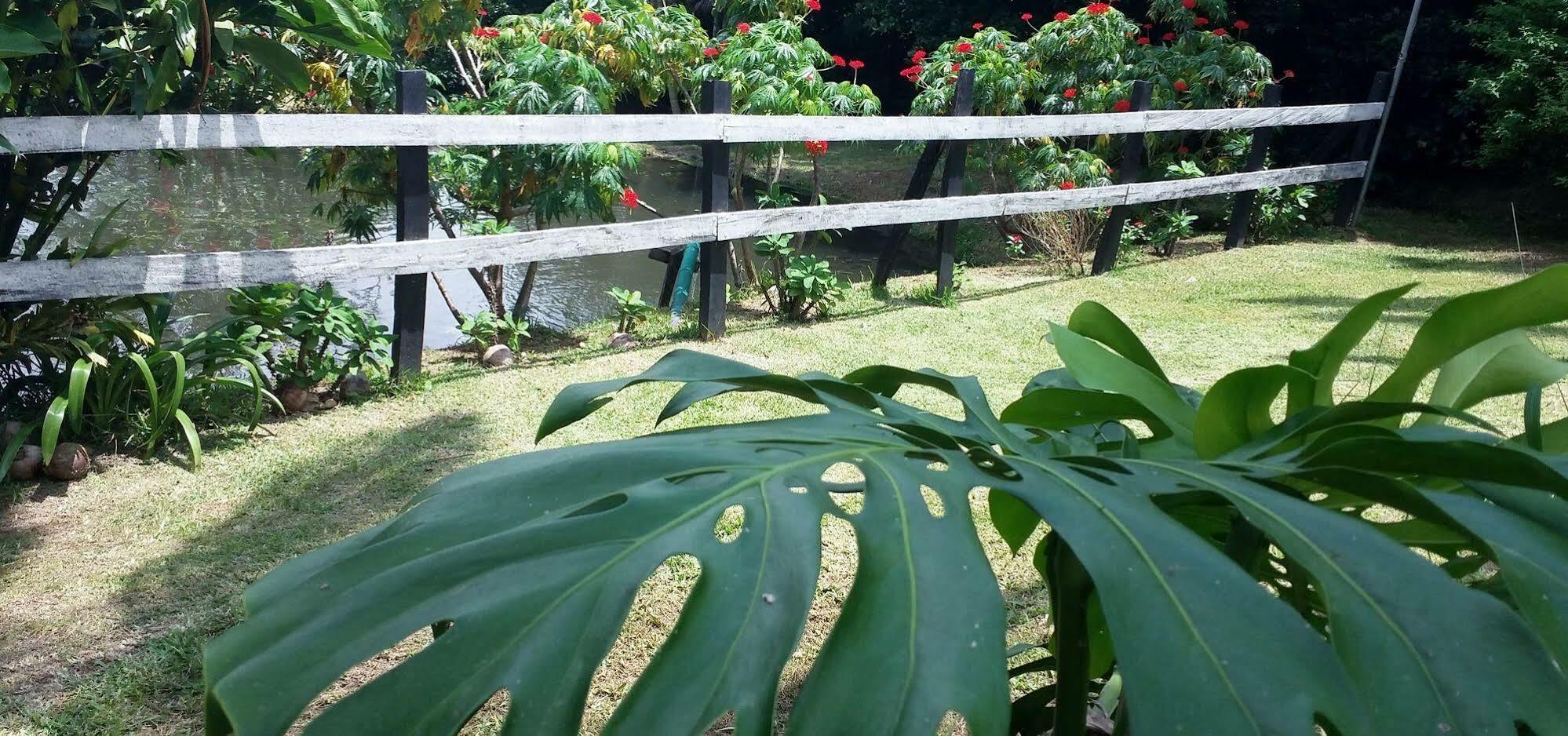 Rancho De Lelo Ecolodge Monteverde Exteriör bild