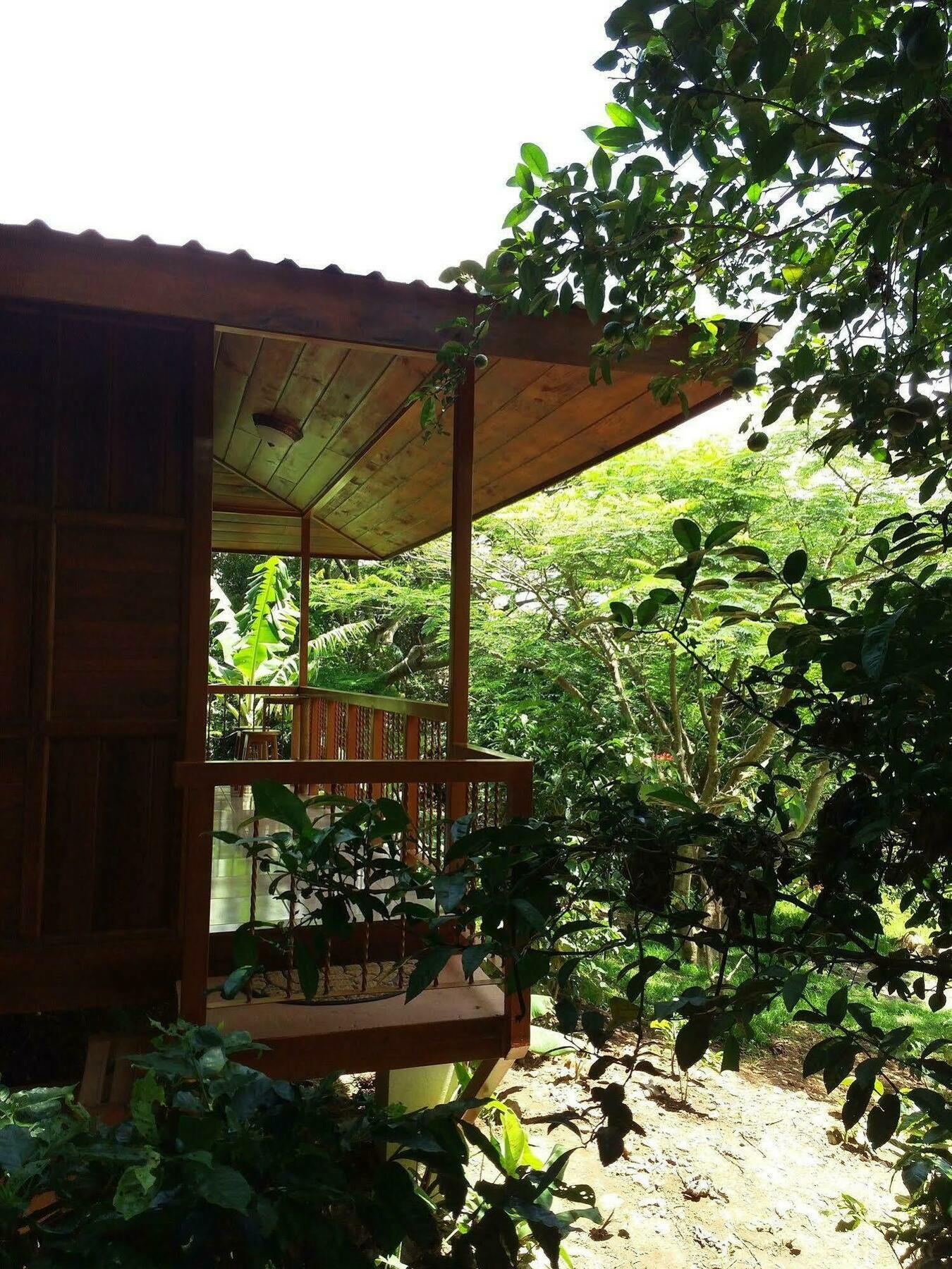 Rancho De Lelo Ecolodge Monteverde Exteriör bild