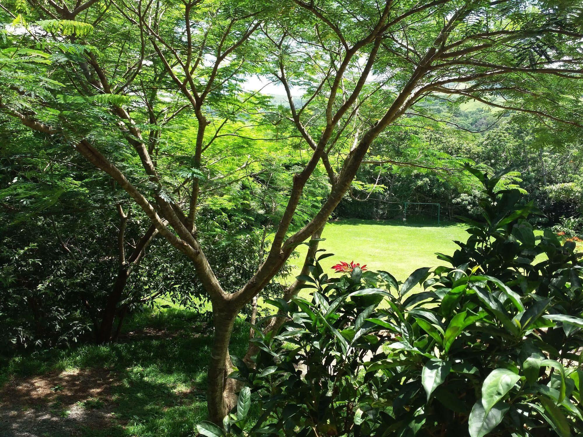 Rancho De Lelo Ecolodge Monteverde Exteriör bild