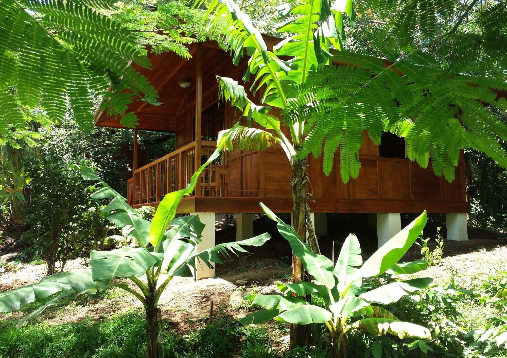Rancho De Lelo Ecolodge Monteverde Exteriör bild